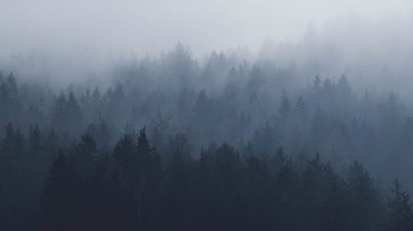 脱出ゲーム霧の森